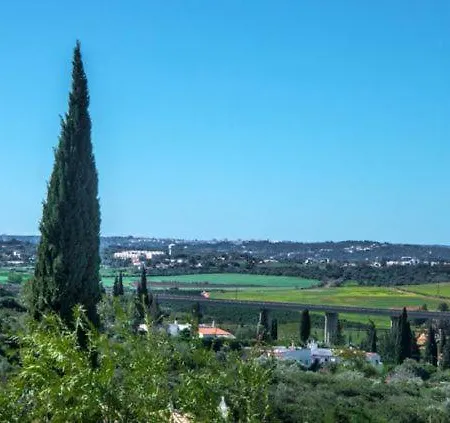 Sleeps 14 Villa Donalda